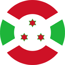 Subsidiary flag