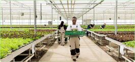 Discover how the bank creates value through sustainable practices in support of UNSDGs